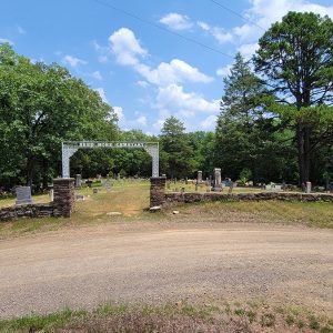 Cemetery gate with graves and trees in background "Need More Cemetery"