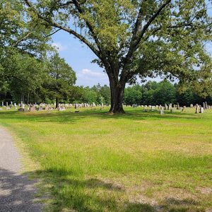 Cemetery with gravestones