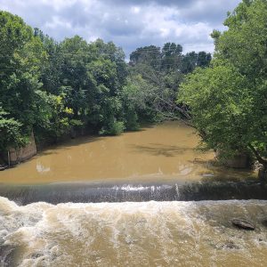 Flowing brown river with trees on both sides