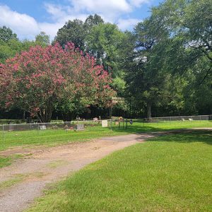 Cemetery with trees and a fence and gravestones