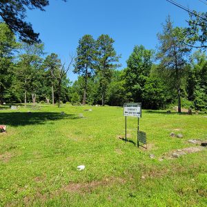 Cemetery with grass