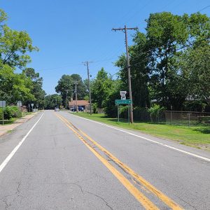 Street scene with trees