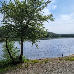 Lake with rippled water