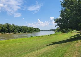 River flowing between tree-covered banks with grassy park area in foreground