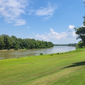 River flowing between tree-covered banks with grassy park area in foreground