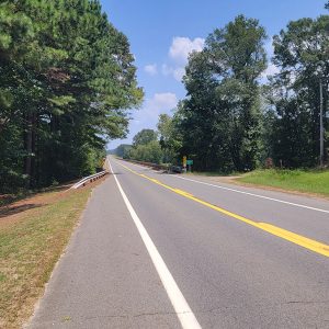 Road with guardrails at one area going between rows of trees