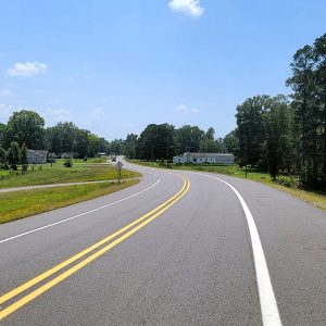 curved road with trees and houses on each side