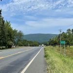 Road with grass and trees on both sides