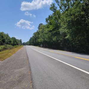 Road with trees on both sides