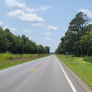 Road with trees