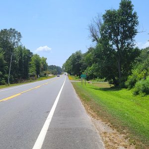 Road with trees on both sides and a sign "Friendship"