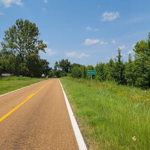 Road with trees