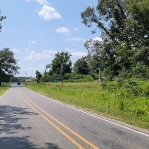 Road with trees