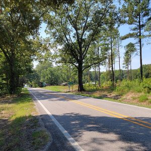 Tree-lined road