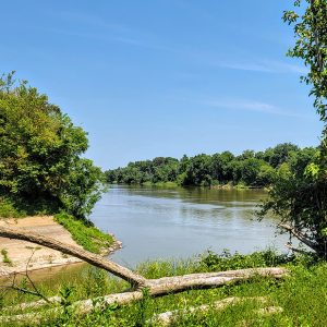 Tree-lined river with access inlet