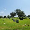 Grassy area with tombstones