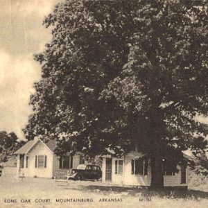 Single story white wooden building with cars parked near it and large tree in foreground