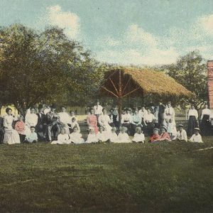 Large group of people sitting and standing adjacent to trees