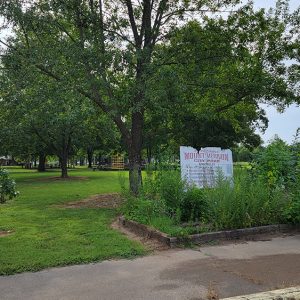 Park area with trees