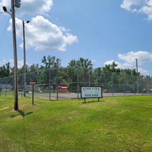 Park area surrounded by fence