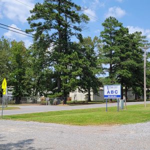 Buildings obscured by trees along side a road