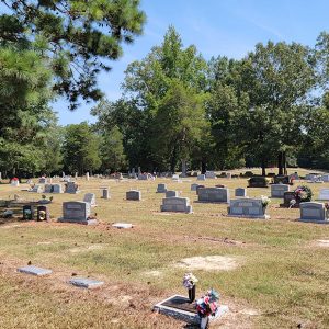 Cemetery with graves and tall trees