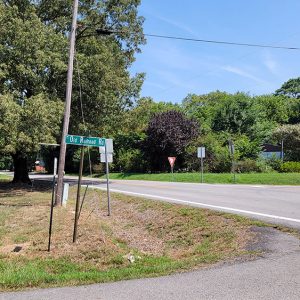 Intersection featuring tree-lined roads