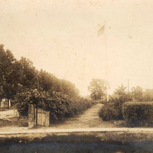 Two hedgerows