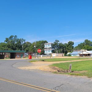 Small town street scene with curving road and businesses