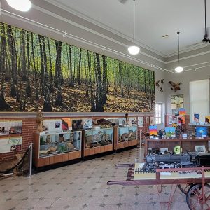 Room full of museum displays of animals and a train