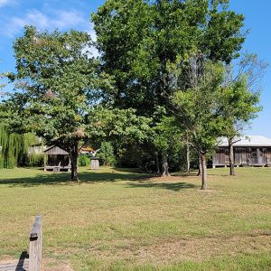 Small wooden buildings and trees including a weeping willow