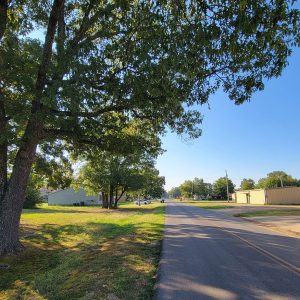 Road passing alongside single-story buildings and large oak trees