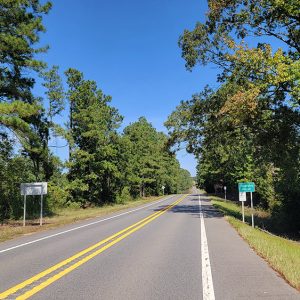 Country road with trees on both sides