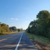 country highway with trees on both sides and a few houses