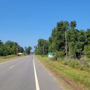 Country road with trees lining both sides