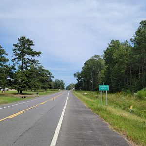 Country road with trees