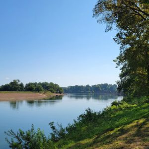 River with structures emitting smoke in the background and trees in foreground