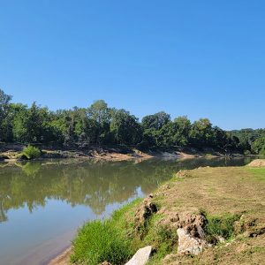 River with tree-lined bank on far side