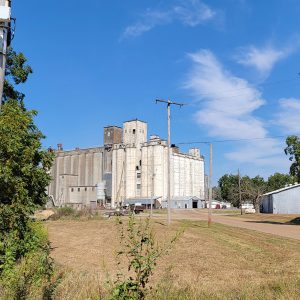 A complex of large white concrete silos with smaller gray buildings in front