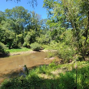 Muddy river flowing between two tree lined banks