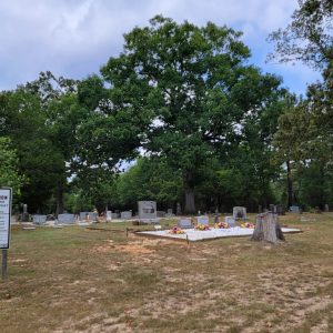 Cemetery with gravestones