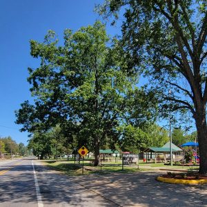 Street and park with children's playground equipment and trees in foreground