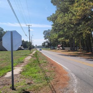 Small town road with houses behind trees