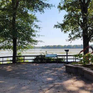 Pavilion and picnic tables overlooking fence and swampy area