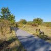 Concrete path wending past grass