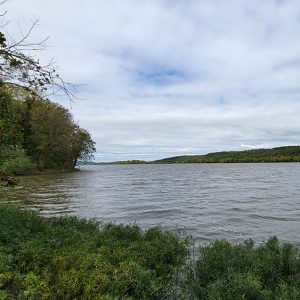 River flowing past banks with trees on both sides