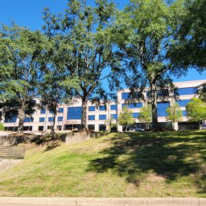 Multistory white granite building with many windows on hill behind line of trees