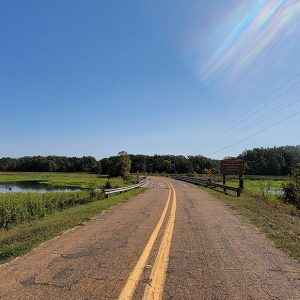 curving country highway passing through wetlands with trees in distance