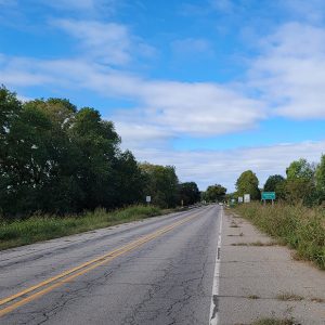 country road with trees and brush on both sides