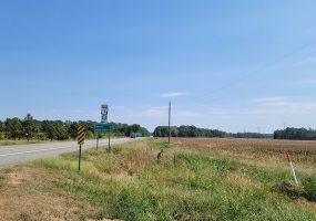 Country highway with trees on one side and fields on the other